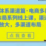 8大体系渠道篇·电商多渠道布局系列线上课，渠道放大，多渠道布局