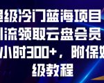 超级冷门蓝海项目，引流领取云盘会员，1小时300+，附保姆级教程