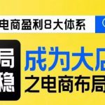 八大体系布局篇·布局做稳，成为大店的电商布局线上课