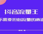 抖音流量王，不需要担心流量的赛道，美女图文音乐号升级玩法（附实操+养号流程）