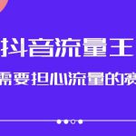 抖音流量王，不需要担心流量的赛道，美女图文音乐号升级玩法（附实操+养号流程）