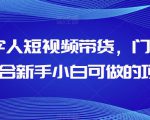 AI数字人短视频带货，门槛低，适合新手小白可做的项目