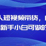 AI数字人短视频带货，门槛低，适合新手小白可做的项目