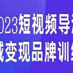 短视频导流·私域变现先导课，5天带你短视频流量实现私域变现