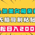 微头条冷门美女相亲赛道，无脑复制粘贴，轻松日入200＋【揭秘】