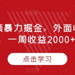 腾讯视频暴力掘金，外面收费899，一周收益2000+【揭秘】