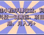 短剧挂小程序赚收益，利用软件黑科技一键搬运，项目红利期，月入万+【揭秘】