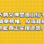 丑小鸭变天鹅女神塑造小红书玩法，月入5万+，简单易懂，按流程操作，草根也能真正实现逆袭！