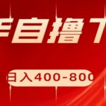 快手自撸下载项目，每天花一个小时，日入400-800【揭秘】