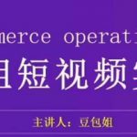 变现为王-豆包姐短视频实战课，了解短视频底层逻辑，找准并拆解对标账号，人物表现力