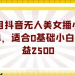 蓝海项目抖音无人美女播小游戏，操作简单，适合0基础小白，一周收益2500【揭秘】