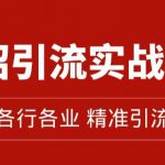 精准引流术：11招引流实战方法，让你私域流量加到爆（11节课完整)