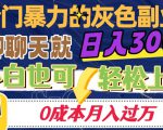 冷门暴利的副业项目，聊聊天就能日入300+，0成本月入过万【揭秘】