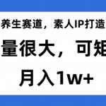 养生赛道，素人IP打造，流量很大，可矩阵，月入1w+【揭秘】