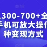 日入300-700+全程1部手机可放大操作多种变现方式【揭秘】