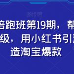 小红书陪跑班第19期，帮助商家爆款升级，用小红书引流，打造淘宝爆款