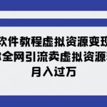 软件教程虚拟资源变现：带你全网引流卖虚拟资源软件，月入过万（11节课）