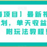 【蓝海项目】最新视频号分成计划，单天收益8000+，附玩法教程！