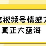 视频号情感文案，真正大蓝海，简单操作，新手小白轻松上手（教程+素材）【揭秘】