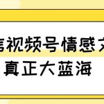 视频号情感文案，真正大蓝海，简单操作，新手小白轻松上手（教程+素材）【揭秘】