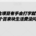 0撸美金项目有手会打字就行每天赚个百来块生活费没问题【揭秘】