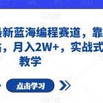 小红书最新蓝海编程赛道，靠复制粘贴，月入2W+，实战式教学【揭秘】