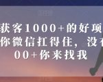 单日获客1000+的好项目，只要你微信扛得住，没有1000+你来找我【揭秘】