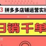 2023拼多多运营实操，每天30分钟日销1000＋，爆款选品技巧大全（10节课）