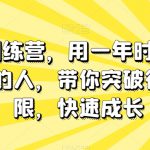 板砖训练营，用一年时间成为专业的人，带你突破行动局限，快速成长