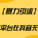 【暴力引流】利用百度平台在抖音无风险引流【揭秘】