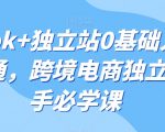 tiktok+独立站0基础入门到精通，跨境电商独立站新手必学课