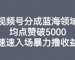 视频号分成蓝海领域，均点赞破5000，速速入场暴力撸收益