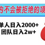 在国内不怕被拒绝的项目，单人日入2000，团队日入20000+【揭秘】