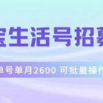 支付宝生活号作者招募计划，单号单月2600，可批量去做，工作室一人一个月轻松1w+【揭秘】