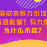 新·微商零成本暴力引流丨都2023了微商还能做？有大把流量，为什么不能？