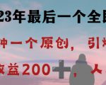 反向演绎详解，引爆评论区，每日稳稳收益200+，2023最后一个全民项目【揭秘】