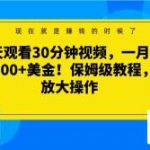 每天观看30分钟视频，一月躺赚1000+美金！保姆级教程，可放大操作【揭秘】