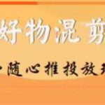 【万三】好物混剪付费随心推投放玩法，随心投放小课抖音教程