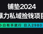 暴力私域捡钱项目，小白无脑操作，日入2980【揭秘】