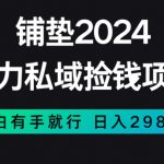 暴力私域捡钱项目，小白无脑操作，日入2980【揭秘】