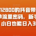 外面收费12800的抖音带货新奇玩法，爆单流量密码，新手轻松入局，小白也能日入300+【揭秘】