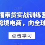 TikTok直播带货实战训练营，引流爆单，学跨境电商，向全球卖货！