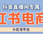 小红书电商高级运营课程，实操教学+案例分析