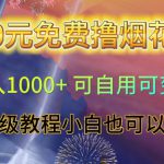 0元免费撸烟花日入1000+可自用可变现保姆级教程小白也可以操作【仅揭秘】