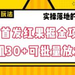 全网首发红果免费短剧掘金项目，单机30+可批量放大【揭秘】