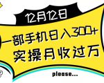 【全网变现首发】新手实操单号日入500+，渠道收益稳定，项目可批量放大【揭秘】