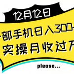 【全网变现首发】新手实操单号日入500+，渠道收益稳定，项目可批量放大【揭秘】