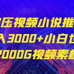 最新解压视频小说推文项目，日入3000+小白也能做（附2000G视频素材）【揭秘】