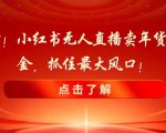 新春倒计时！小红书无人直播卖年货，无货源撸金，抓住最大风口【揭秘】