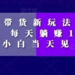 短视频带货新玩法，加个特效，每天躺赚1000+，小白当天见收益【揭秘】